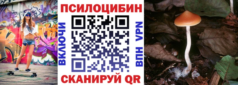 Псилоцибиновые грибы Cubensis  Харовск 